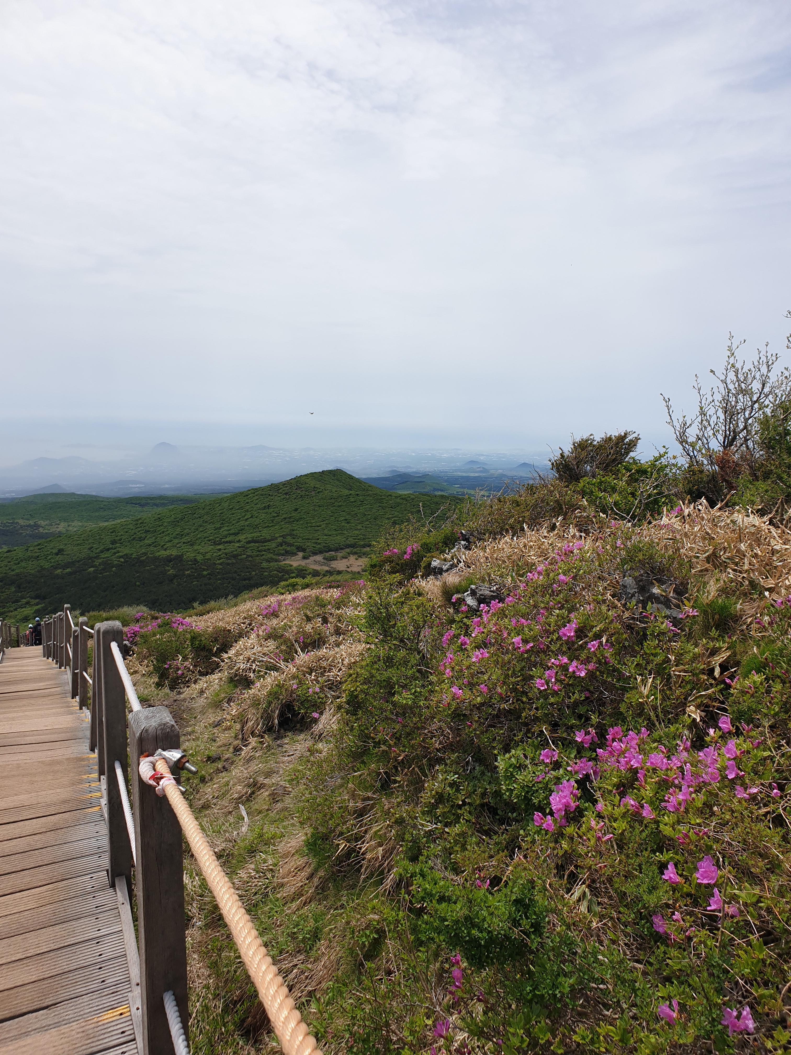 제주 한라산 등반 예약 방법