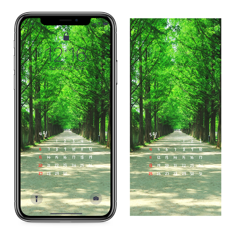 01 메타세콰이어길 AB - 2025년4월 아이폰달력배경화면