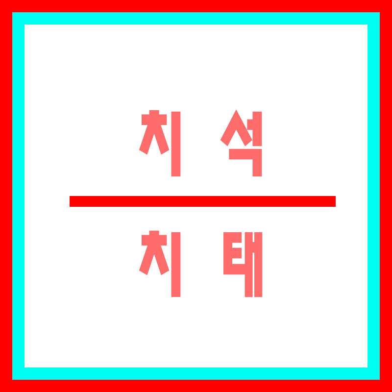 치태-치석