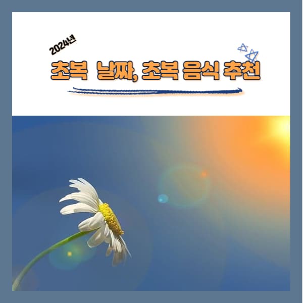 2024년-초복날