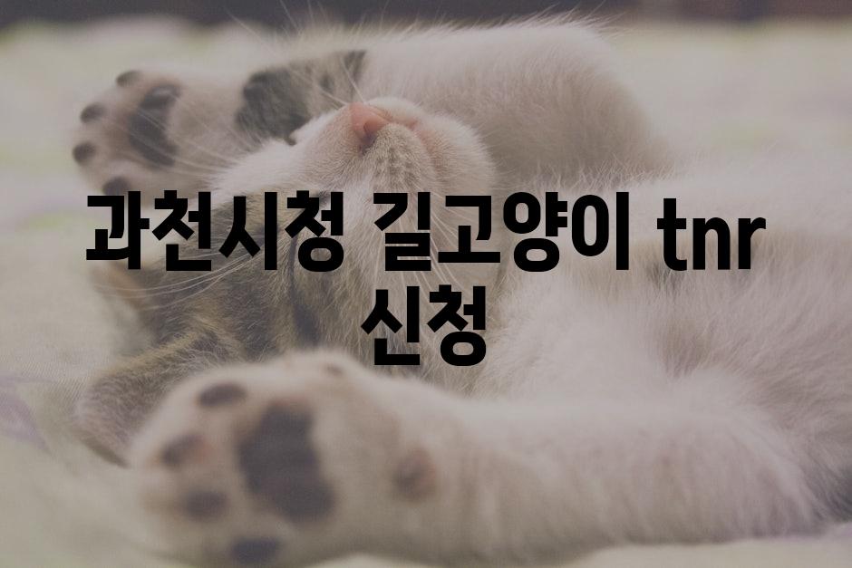 Cats 1