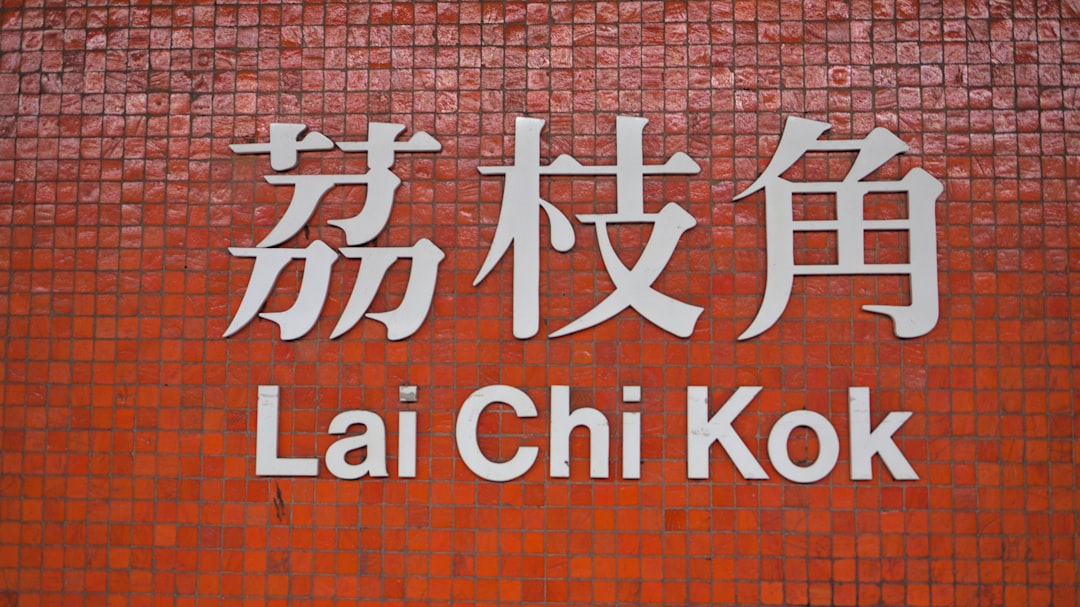 Local government official