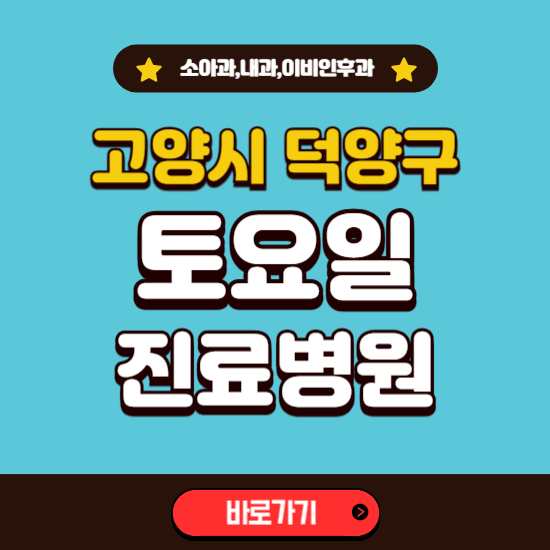 고양시 덕양구 토요일 진료 병원 찾기 ❘ 주말 문여는 소아과, 내과, 이비인후과 리스트