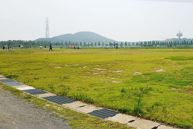 대부도파크골프장 (대부바다향기테마파크 페스티벌파크,
메타세콰이어길 파크골프장)
