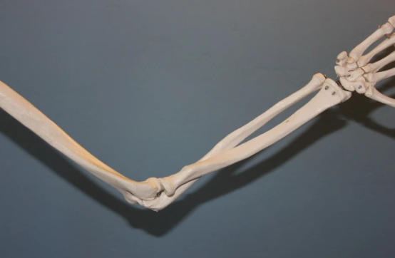 MBP 효능 부작용1