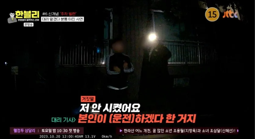 신개념 주차 빌런 대리 기사 25