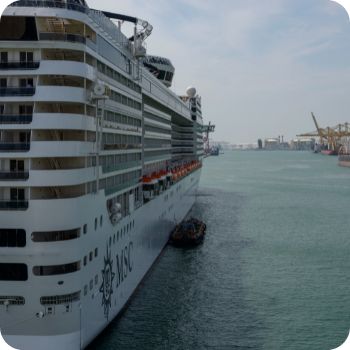 MSC 크루즈 예약 사이트 국내