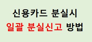 신용카드 분실신고 한번에