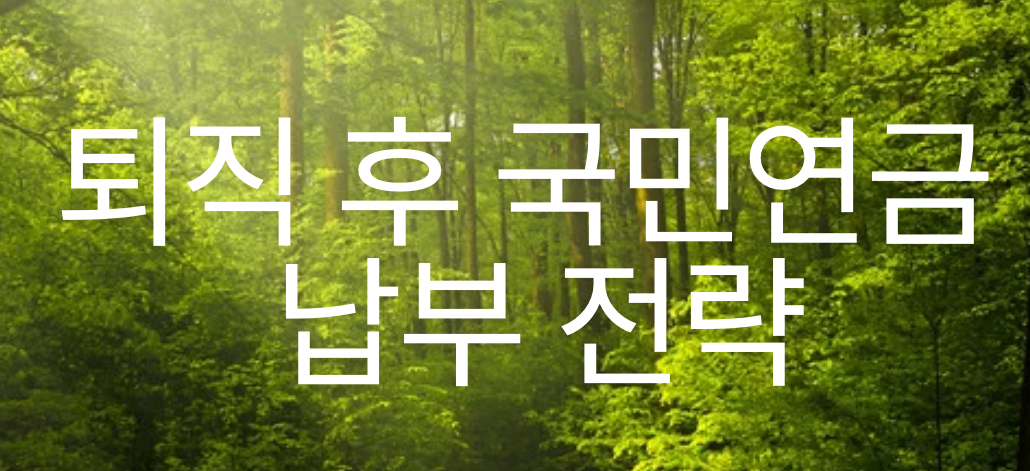 퇴직 후 국민연금 납부 전략