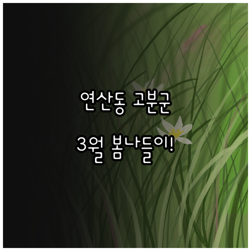 부산 연산동 고분군 3월 방문 후기 ..