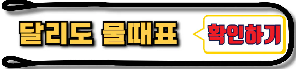 달리도 물때표