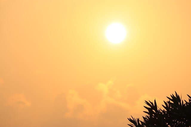 대전 해돋이 명소