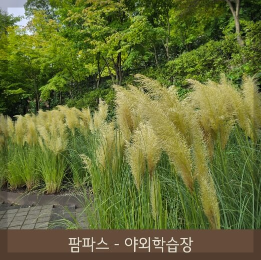 비 오는 날에도 매력적인 화담숲: 촬영 명소와 산책로 추천