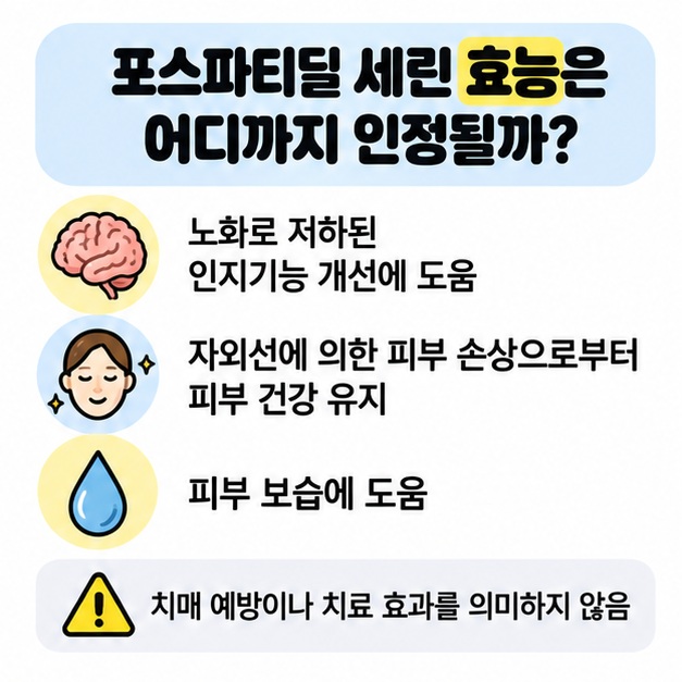 인지기능과 피부 건강 관련 포스파티딜세린 기능성을 정리한 이미지