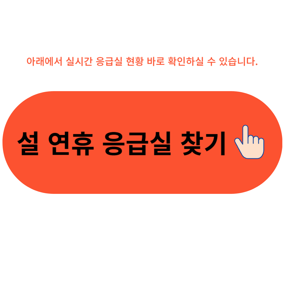 설 연휴 응급실 찾기