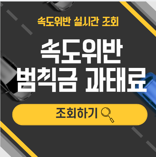 속도위반 범칙금 과태료 조회방법
