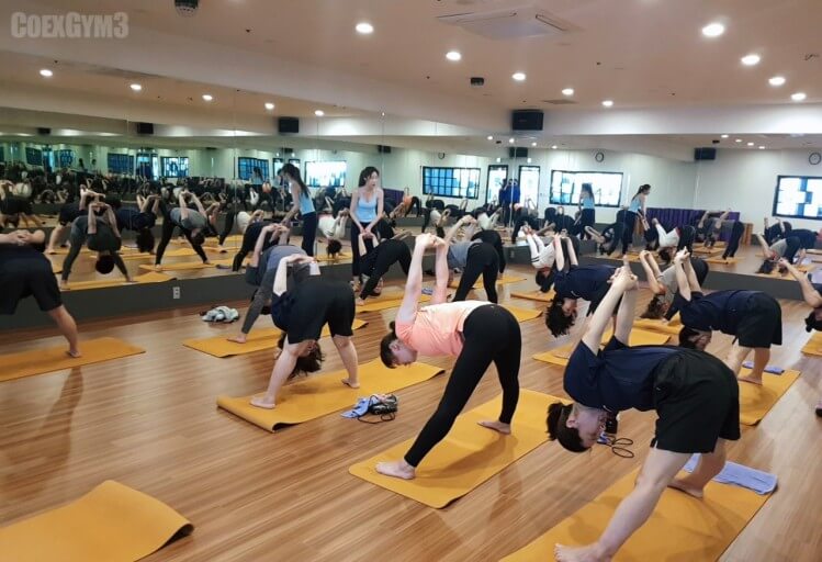GX 운영하는 헬스장