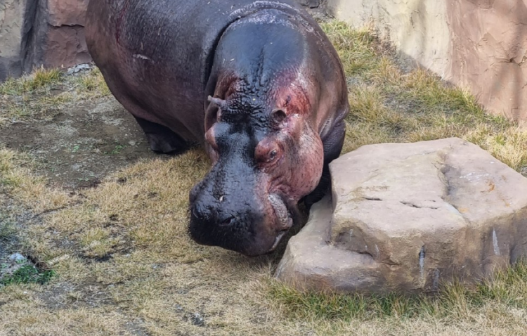 사천 아쿠아리움