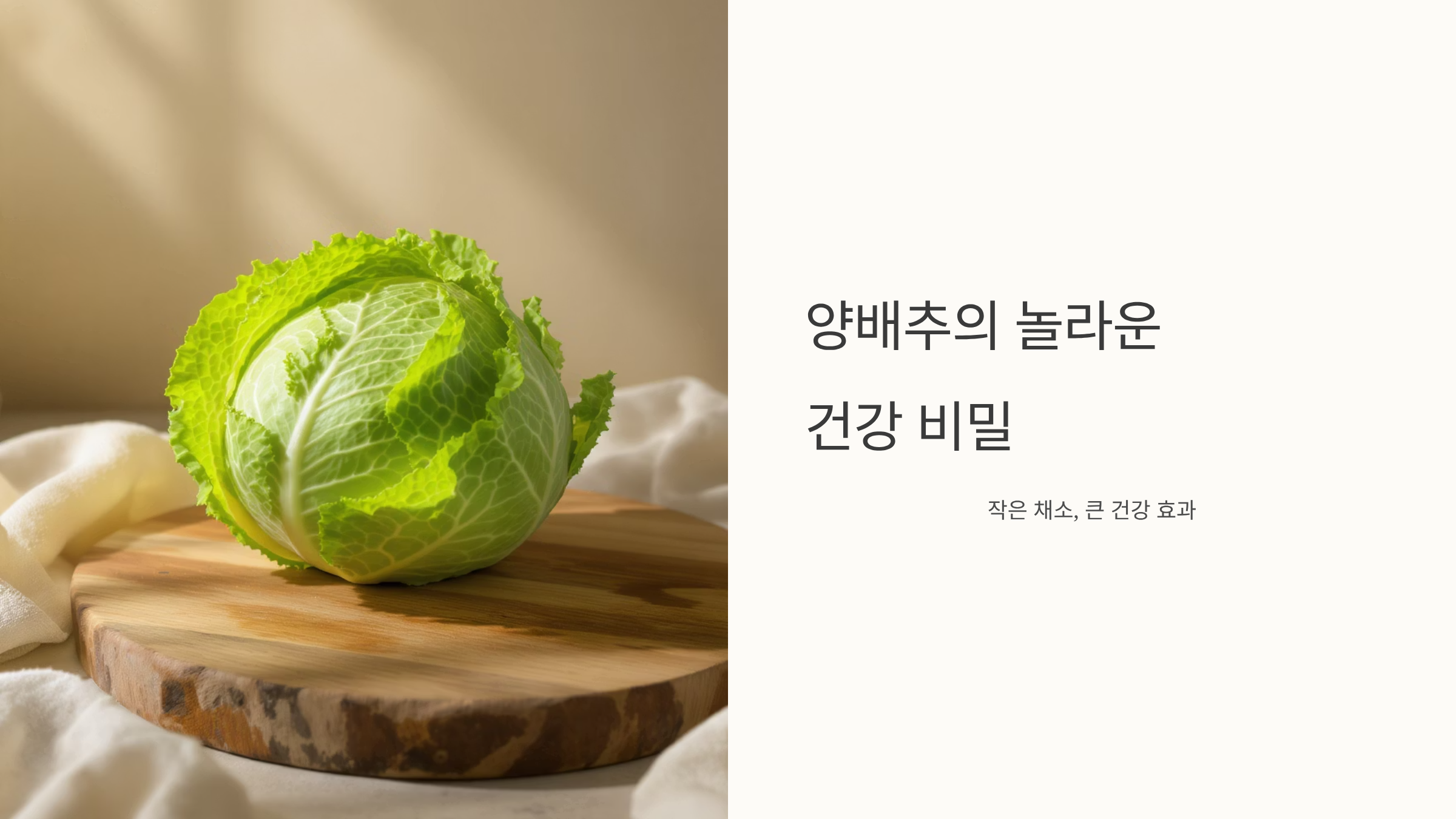 양배추 효능과 건강 비밀 파헤치기