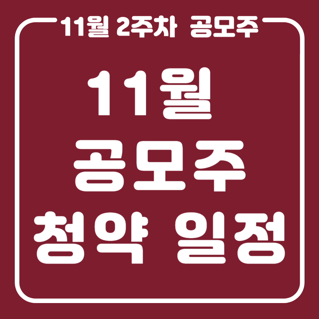 11월 공모주 청약