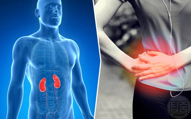 신장에 좋은 음식,신장 기능 저하에 좋은 과일