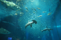 후쿠오카 여행 마린월드 우미노나카미치