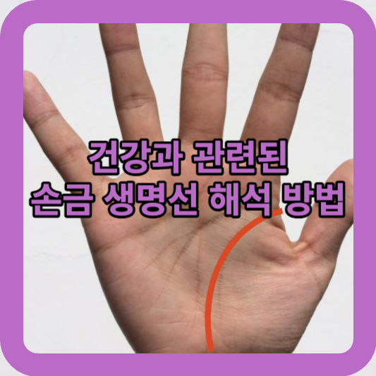 건강과 관련된 손금 생명선 해석 방법