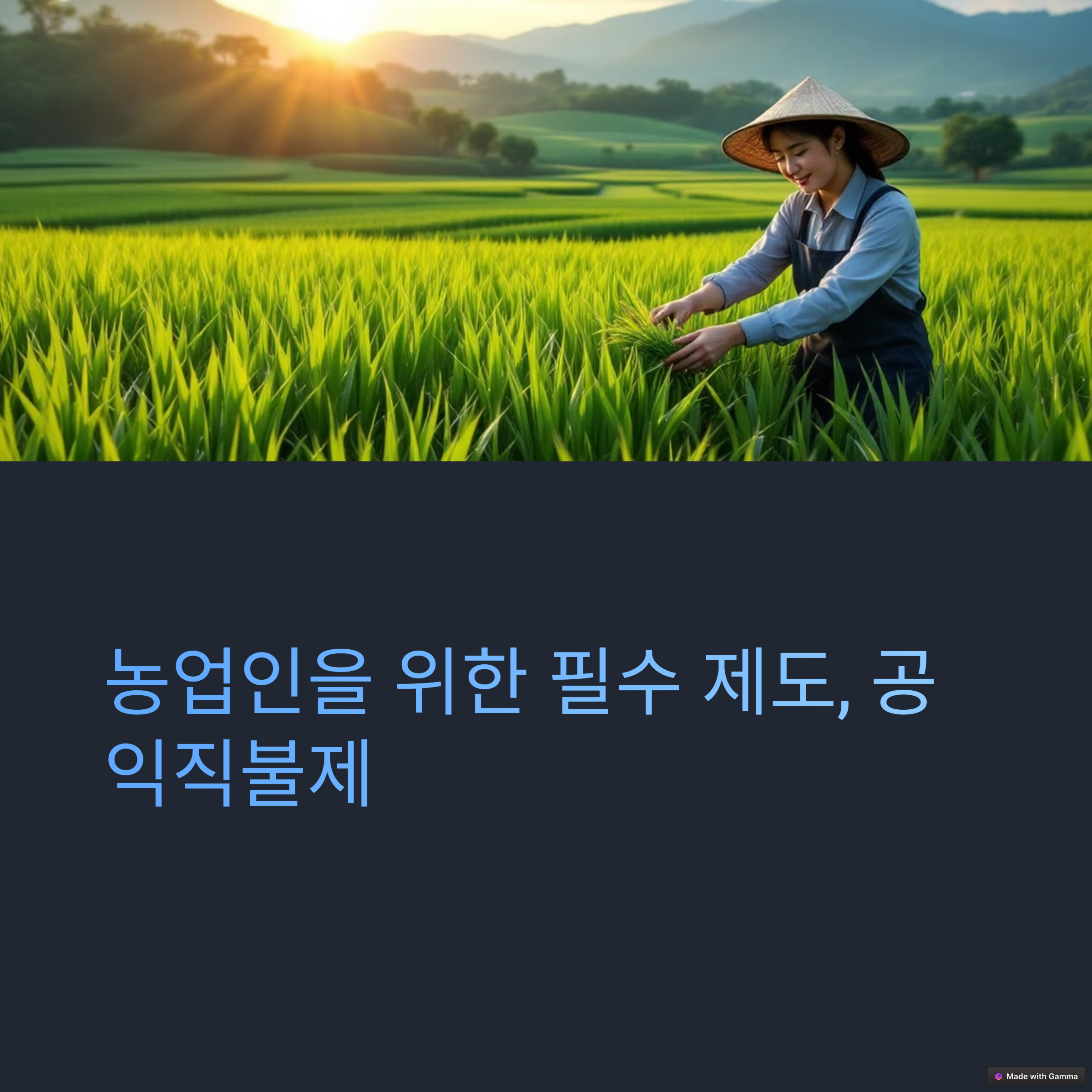 농사하는 사진