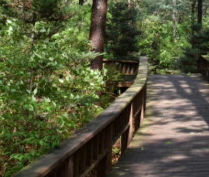 숲나들e 국립 산음 자연휴양림 국내 여행지 추천 관련사진