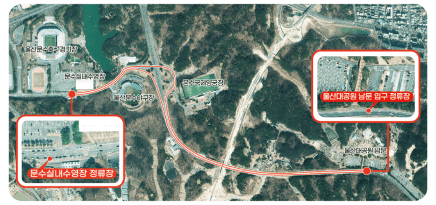 울산대공원 장미축제