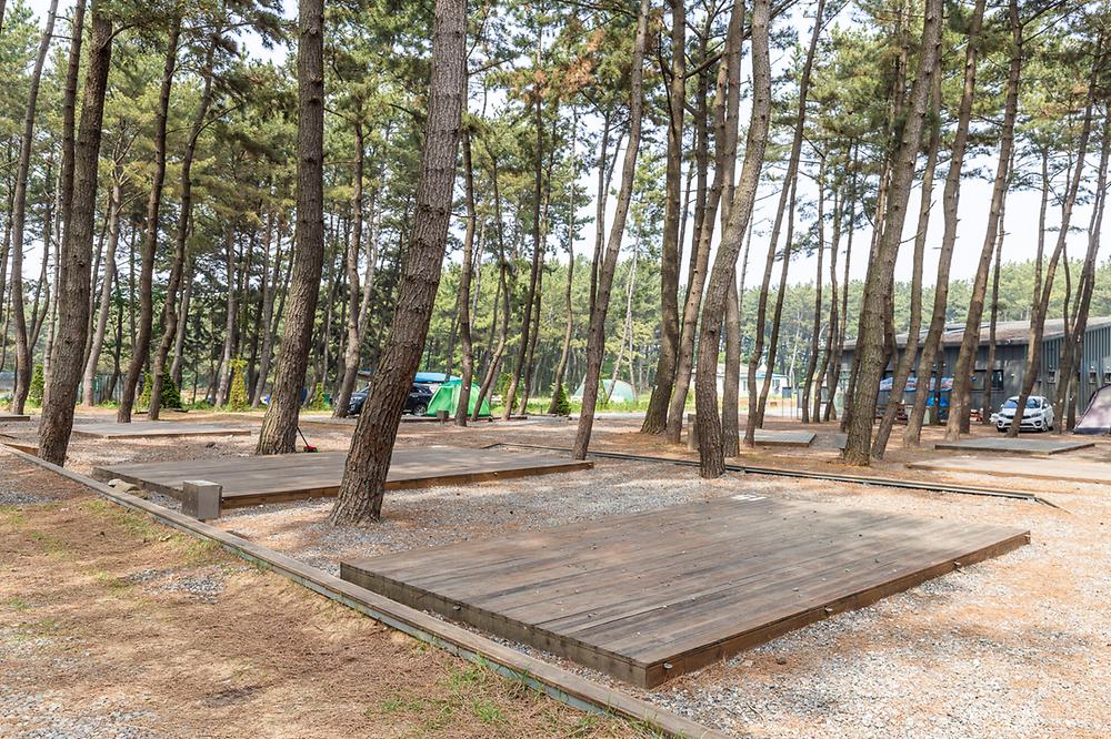 충남 서천 장항오토캠핑장 소개