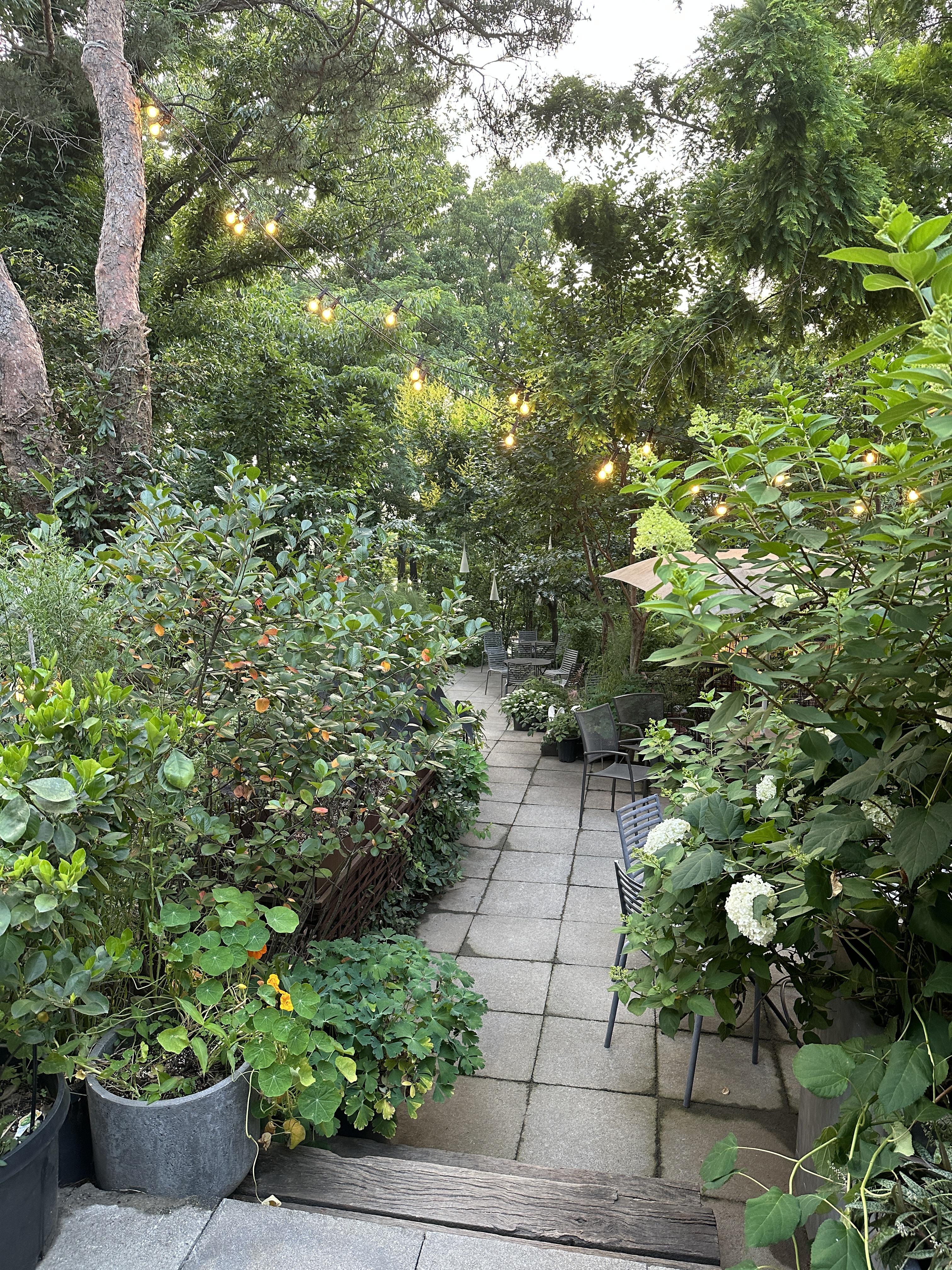 마이알레 / 마이알레빌리지 / 과천마이알레 / 시아지오대디