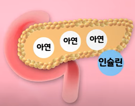 당뇨 영양제