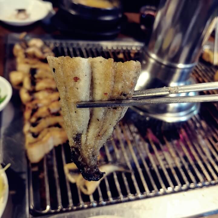 몸에 좋은-장어-꼬리