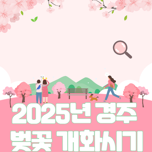 2025년 경주 벚꽃 개화시기 및 벚꽃 명소 BEST 10 관련 사진