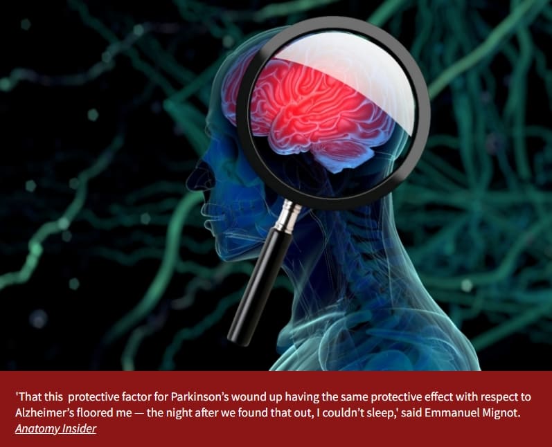 특정 유전 인자 보유자...치매 안 걸린다 Stanford Medicine-led study finds genetic factor fends off Alzheimer&rsquo;s and Parkinson&rsquo;s