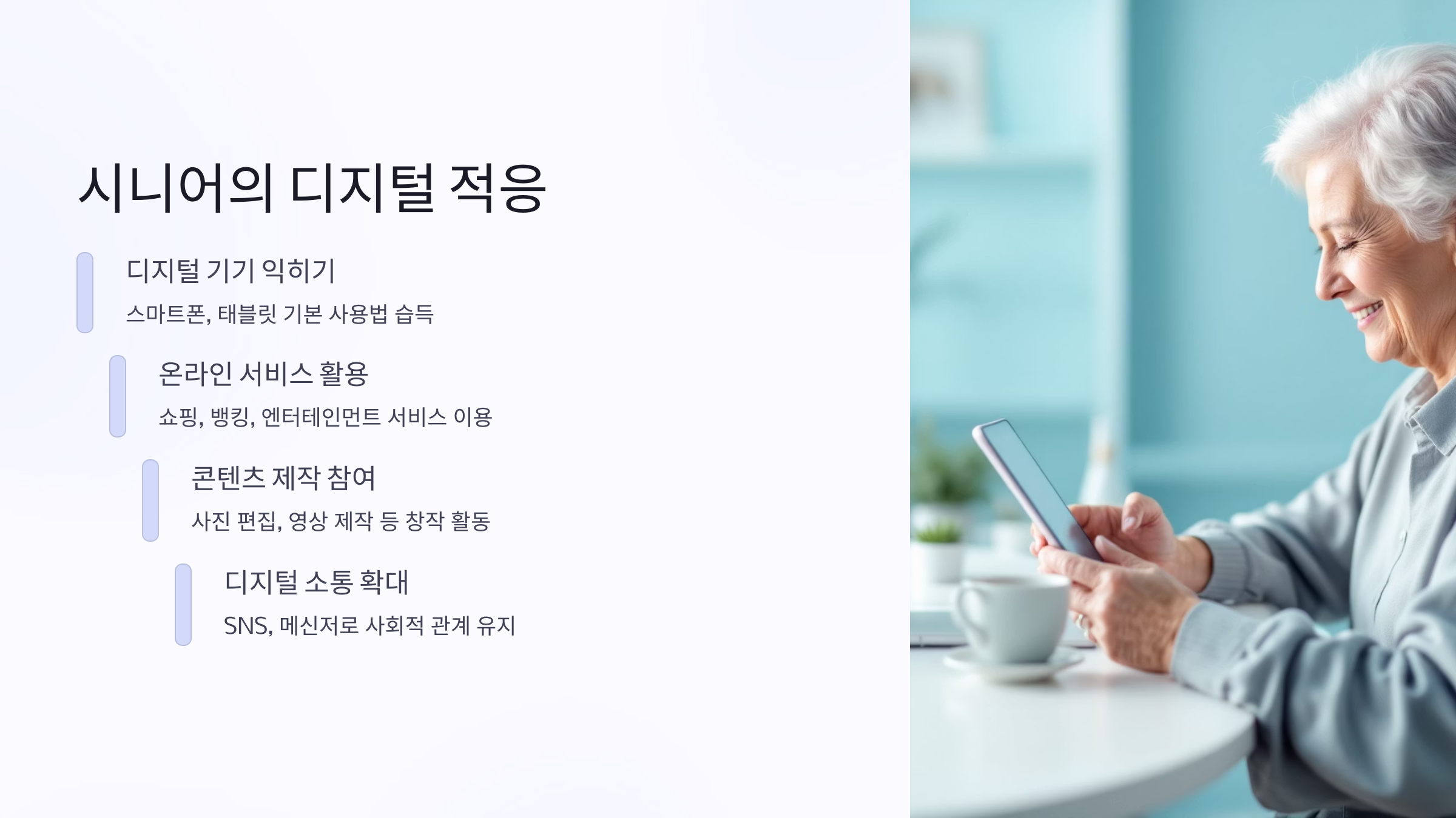 시니어 뜻