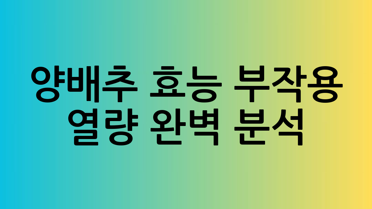양배추 효능 부작용