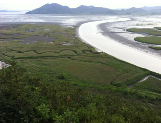 순천 역사 명소 음식점