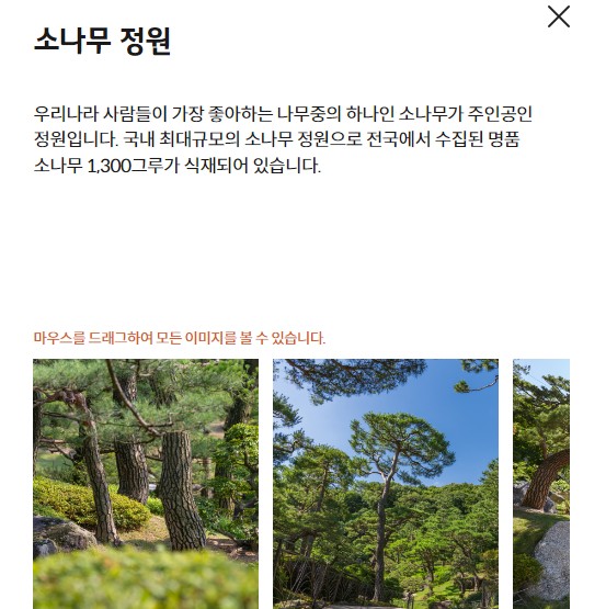 소나무정원