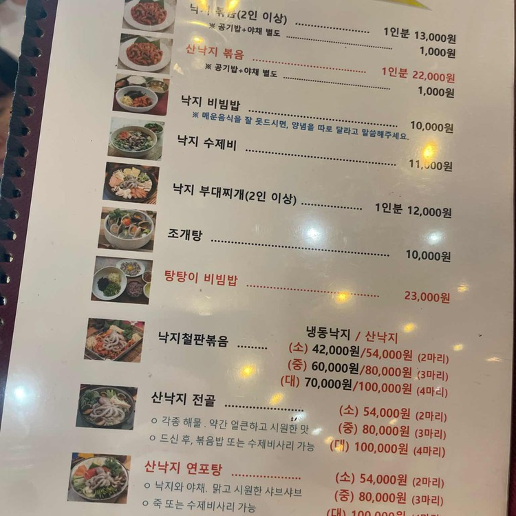 일산 낙지 맛집, 독천낙지