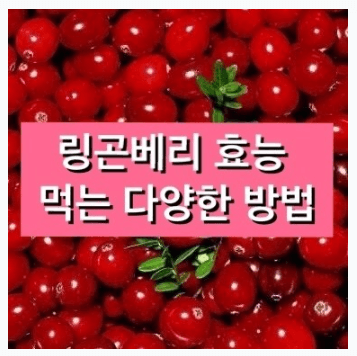 링곤베리 퓨레