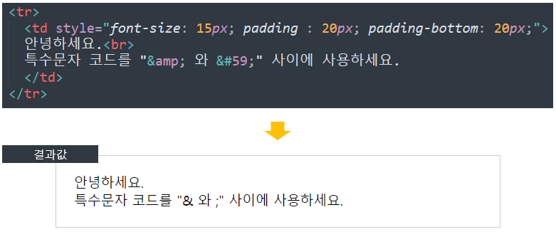 HTML-특수문자-입력예시-화면