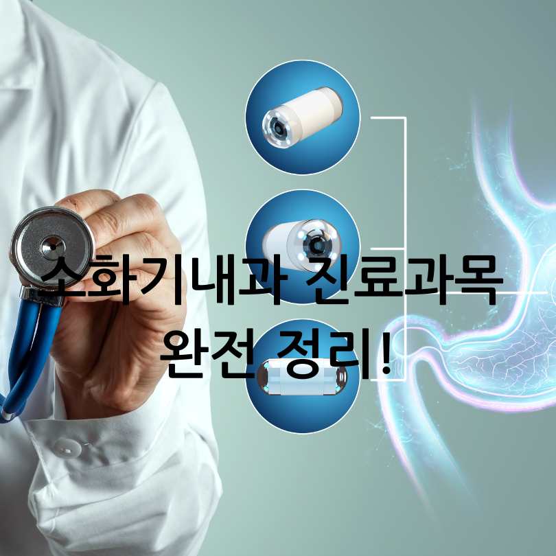 소화기내과 진료과목