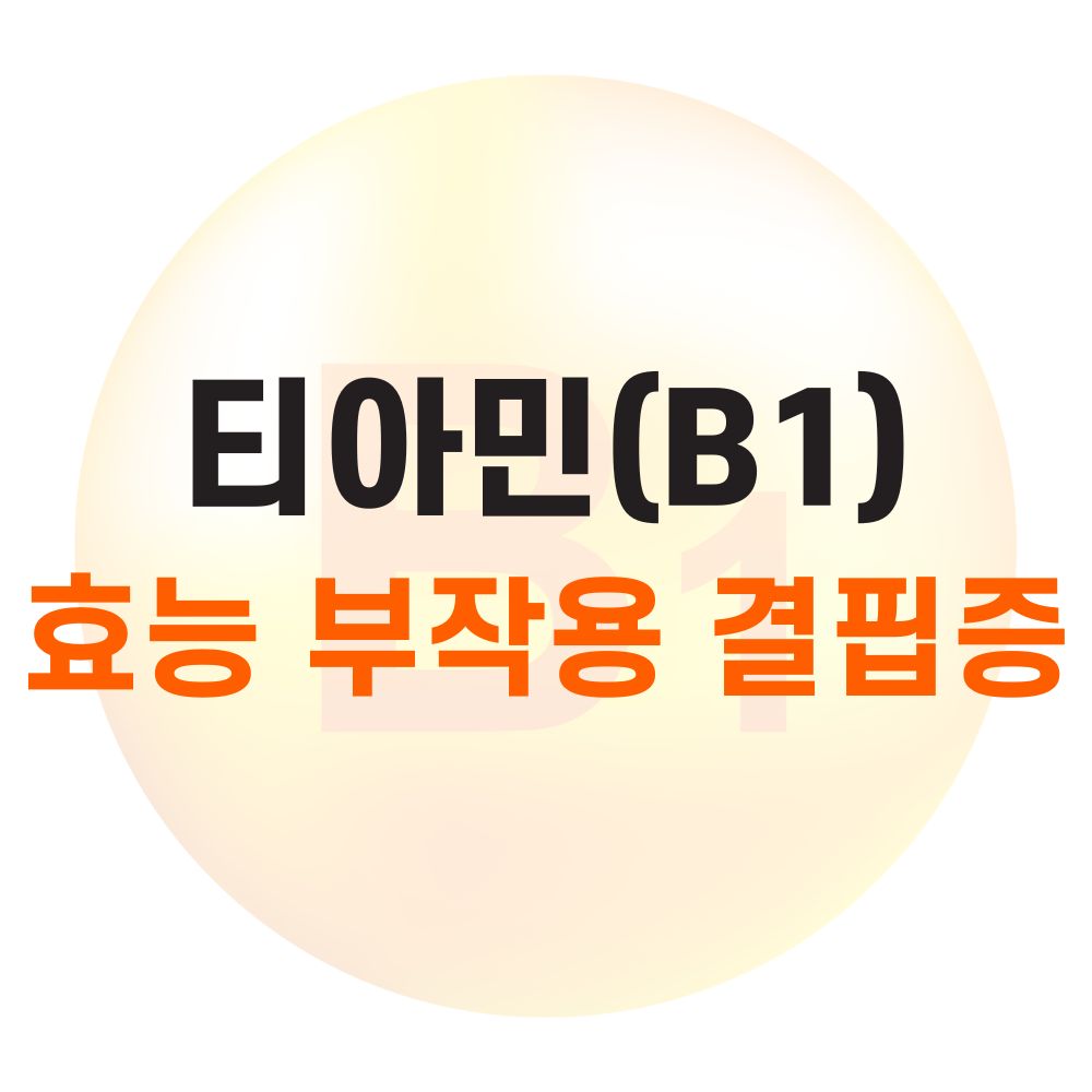 비타민B1 효능