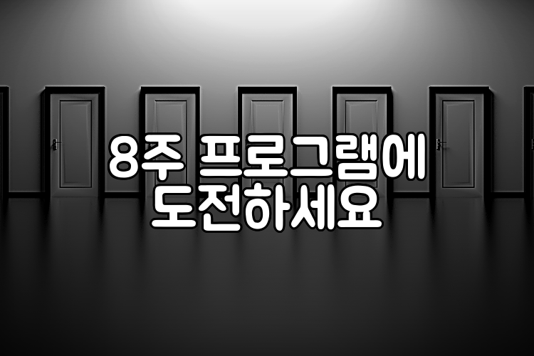 8주 프로그램에 도전하세요