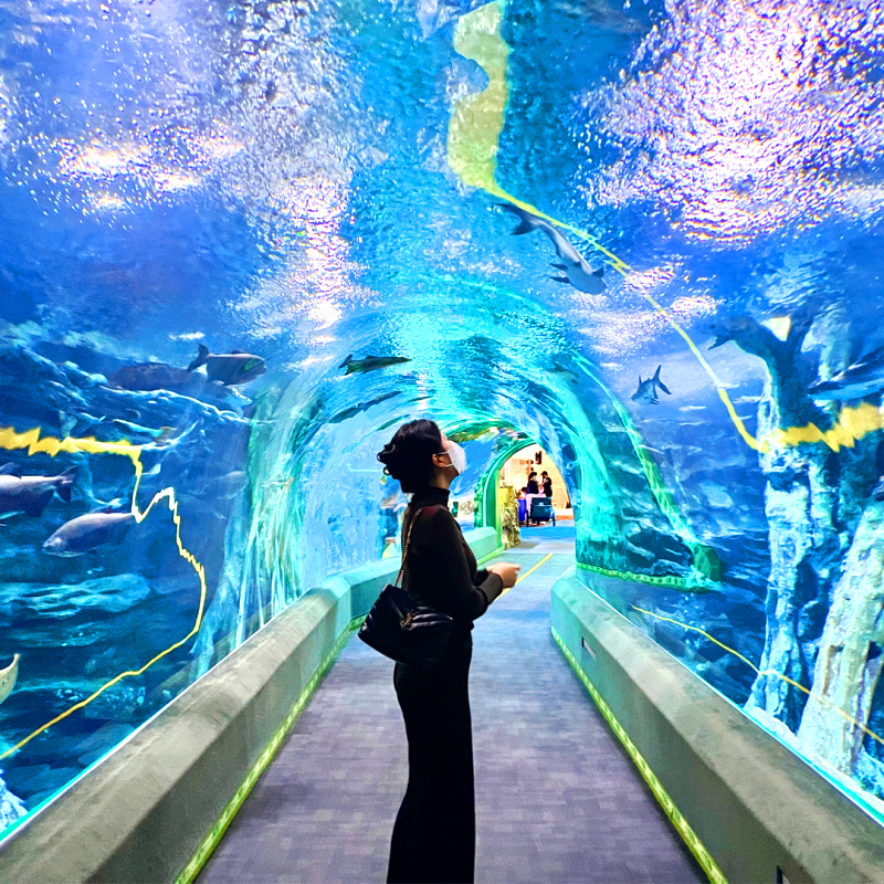 롯데월드 타워 아쿠아리움