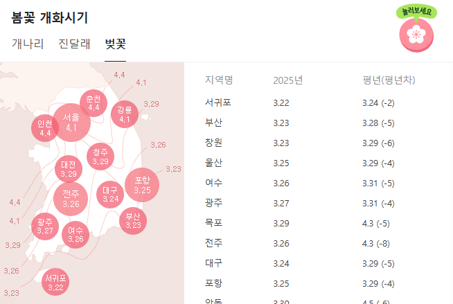 벚꽃 개화시기