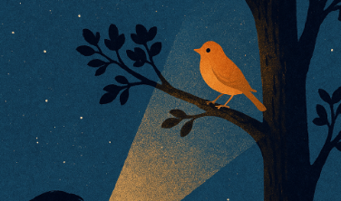 김주영 소설 새를 찾아서 관련 이미지