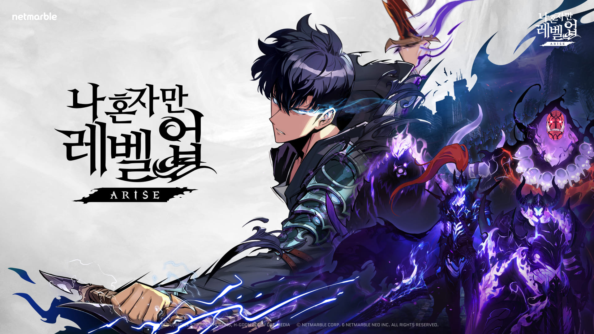 나 혼자만 레벨업 게임